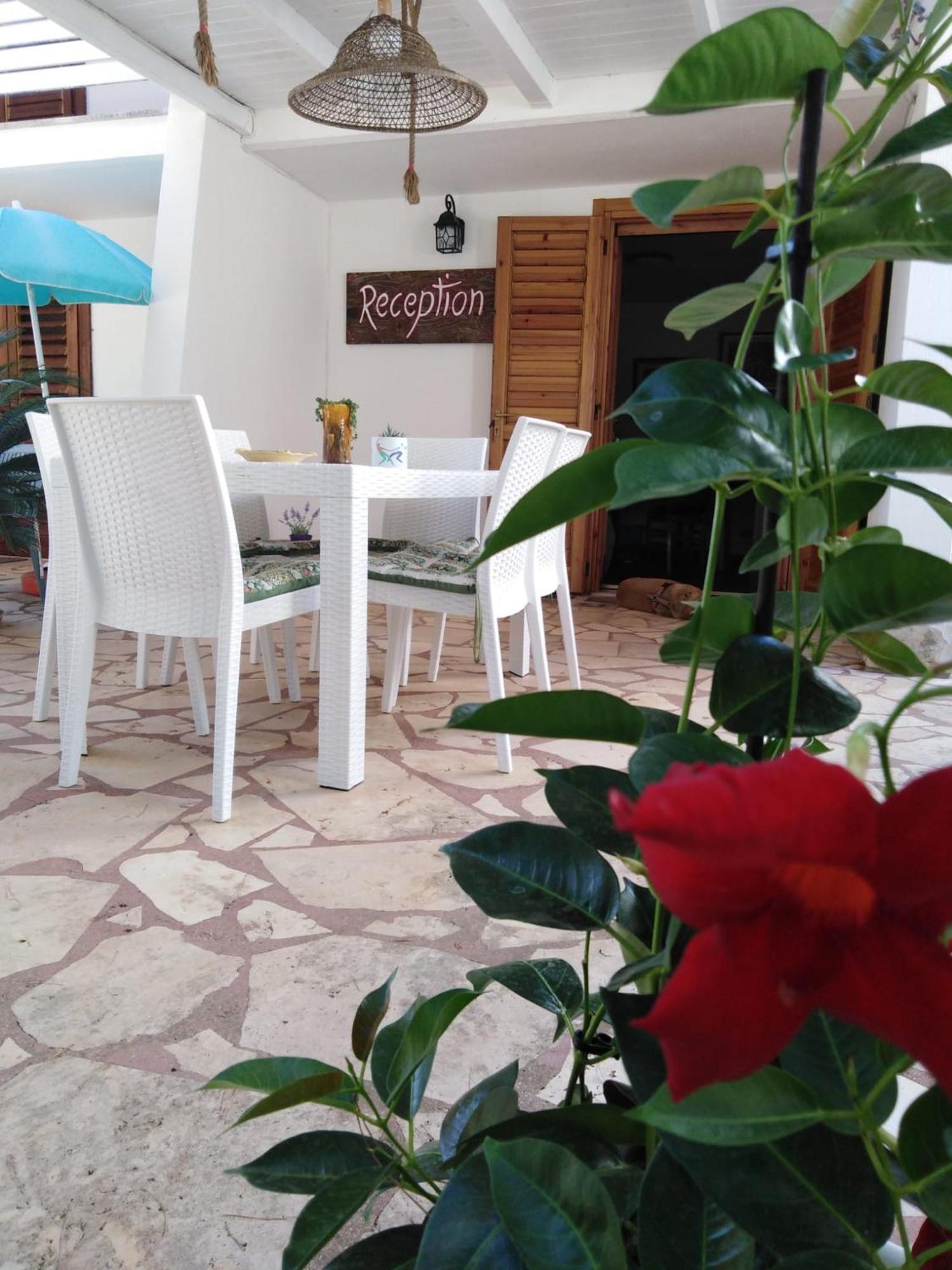Raggio Di Sole Aparthotel อัลเบโรเบลโล ภายนอก รูปภาพ