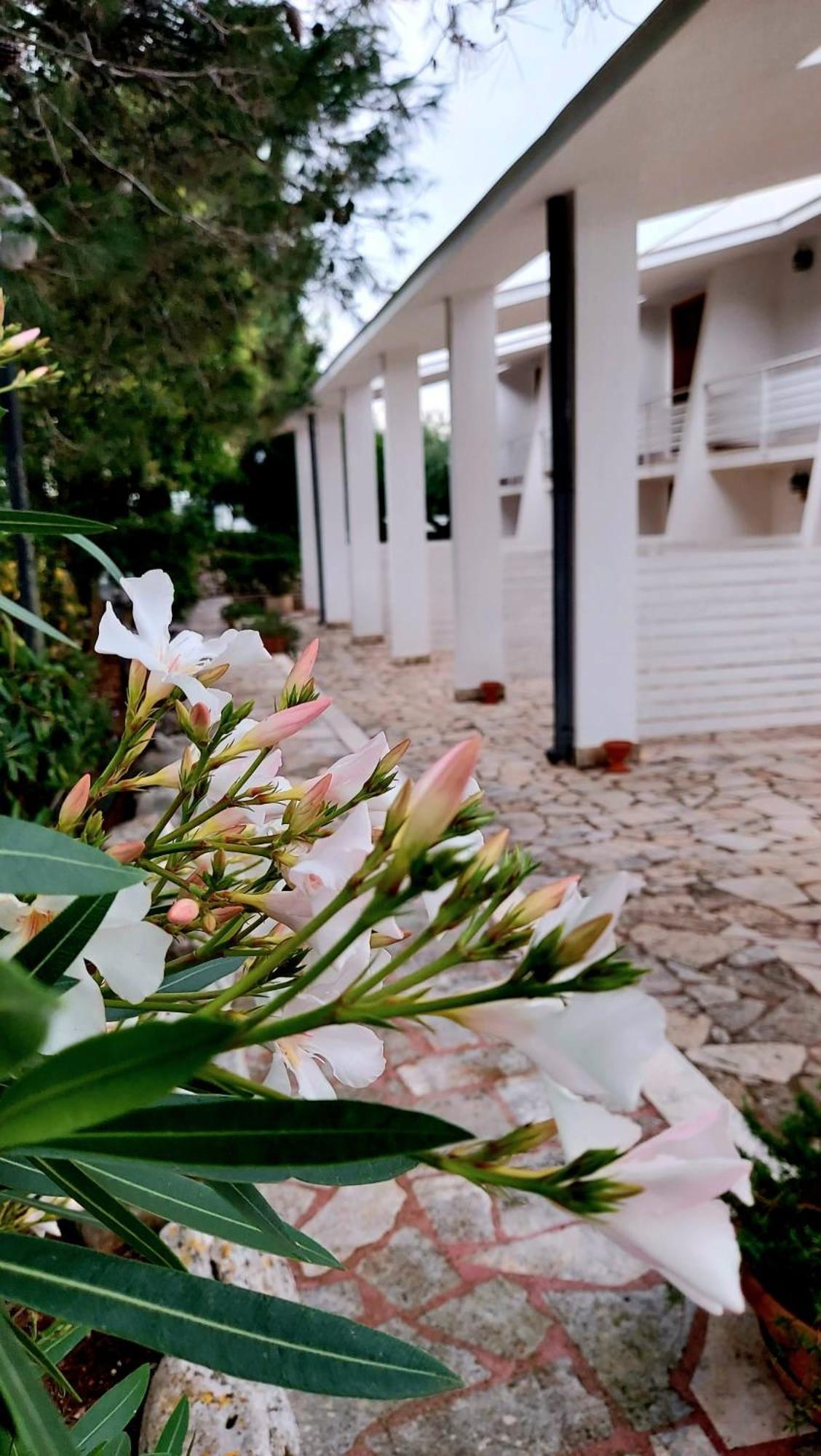 Raggio Di Sole Aparthotel อัลเบโรเบลโล ภายนอก รูปภาพ